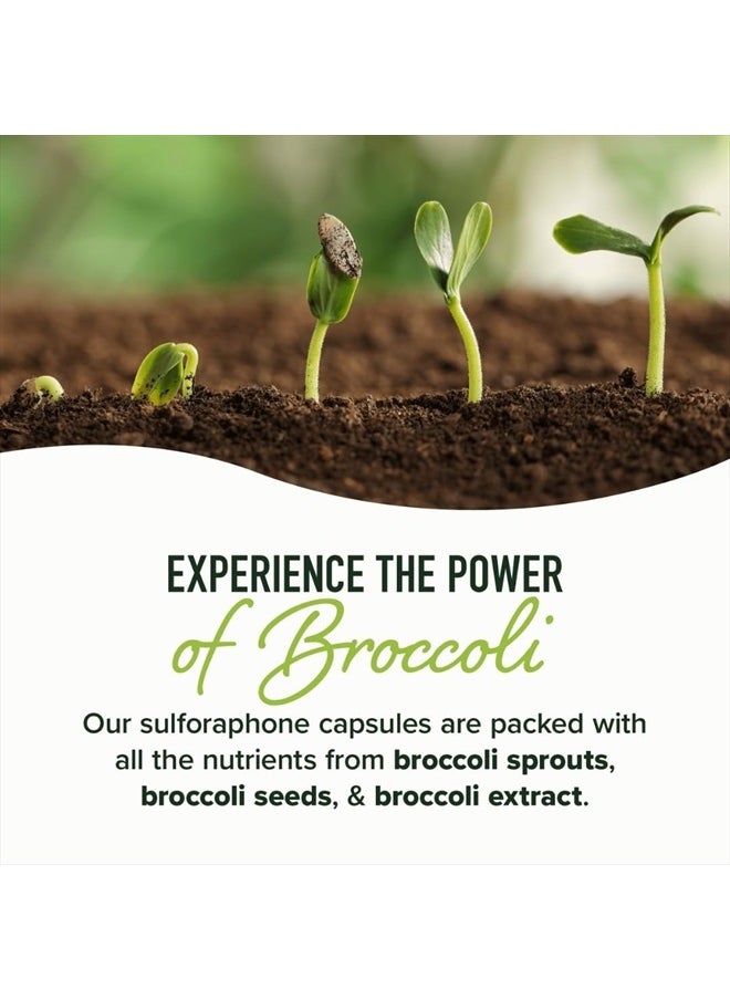 SMNutrition 50MG Sulforaphane Supplement from Broccoli Sprouts | NRF2 Activation with Glucoraphanin, Myrosinase & Antioxidants | Support Cellular & Immune Health | Broccoli Seed Extract Microbeadlets, Vegan 60ct  - Image 4