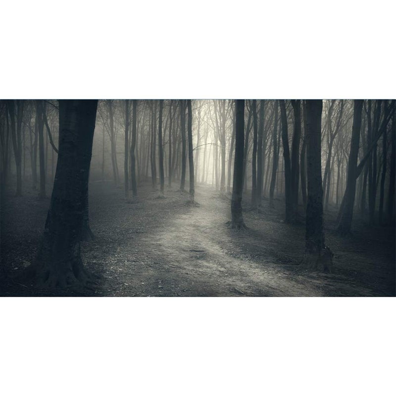 Laeacco 20x10ft Misty Dark Forest Woods Halloween Photography Backdrop Gloomy Grove Mystery Vampire Background for Portrait Magic Witch Wizard Sorcerer Ghost Themed Party Banner Decoration Photo Props