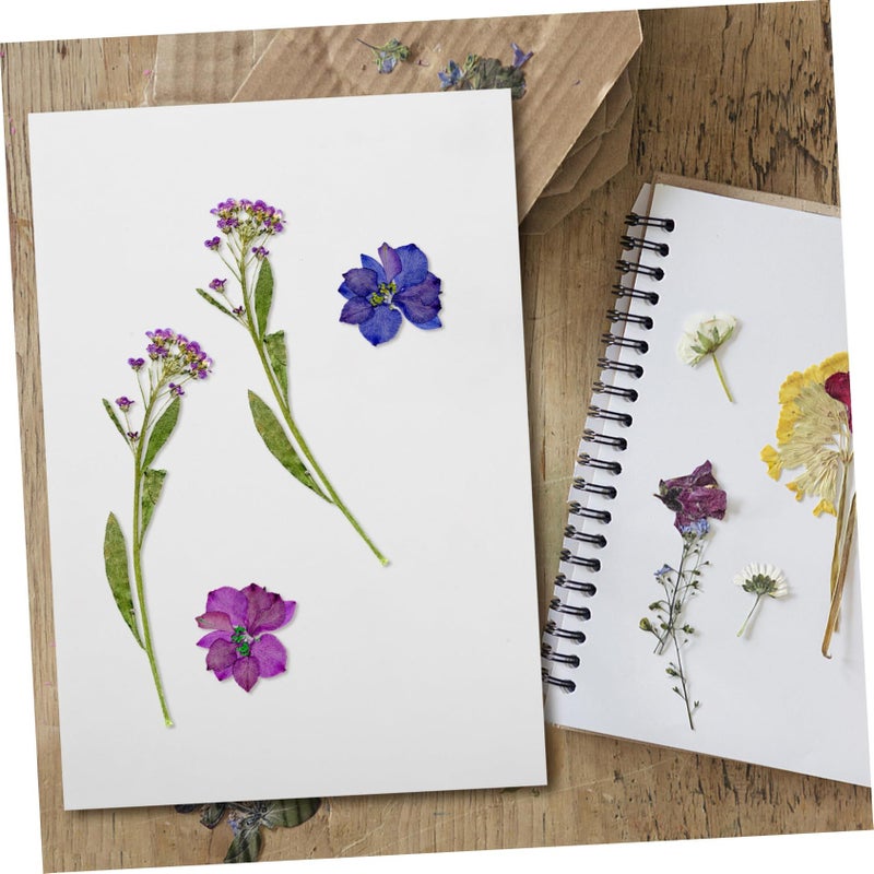 Reusable DIY Flower Press Kit With 6 Blotting Paper Sheets For Quick Drying 30X10X0 10CM - Image 5