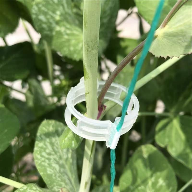 PitenoÂ® 300Pcs Tomato Clips, Plastic Trellis Clips, Plant Support Clips, Grape Vine Tomato Vine Vegetables Plants Garden Support Clips to Grow Upright Makes Plants Healthier - Image 1