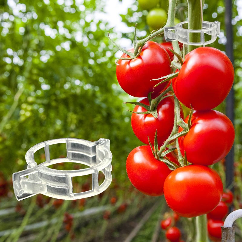 PitenoÂ® 300Pcs Tomato Clips, Plastic Trellis Clips, Plant Support Clips, Grape Vine Tomato Vine Vegetables Plants Garden Support Clips to Grow Upright Makes Plants Healthier - Image 4