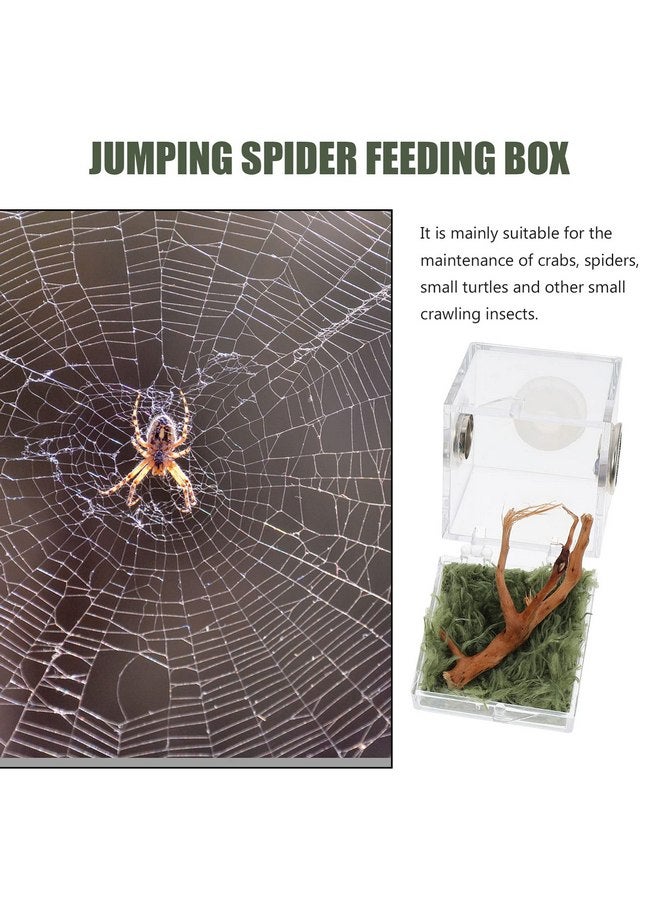 STOBOK 2Pcs Reptile Terrarium, Jumping Spider Enclosure Acrylic Critter Keeper Spider Breeding Cage Micro Habitat Terrariums Snail Container House for Reptiles, 3.5x4cm - Image 4