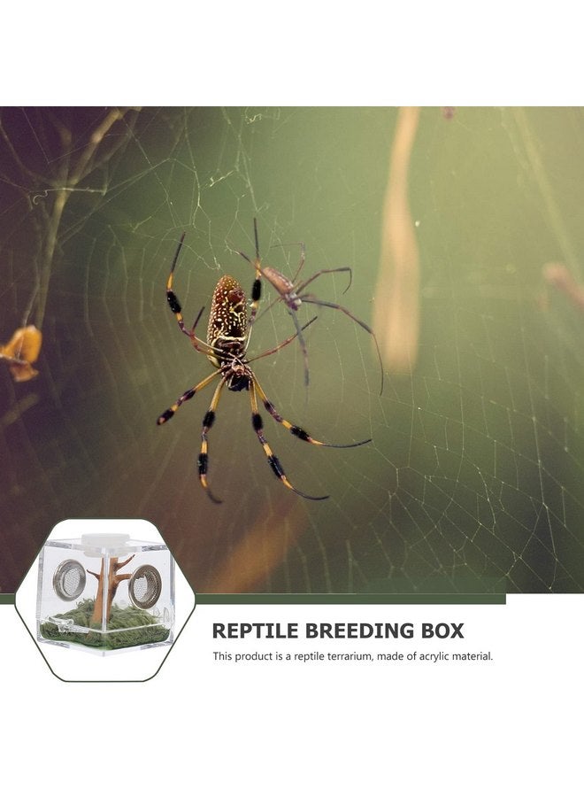 STOBOK 2Pcs Reptile Terrarium, Jumping Spider Enclosure Acrylic Critter Keeper Spider Breeding Cage Micro Habitat Terrariums Snail Container House for Reptiles, 3.5x4cm - Image 5
