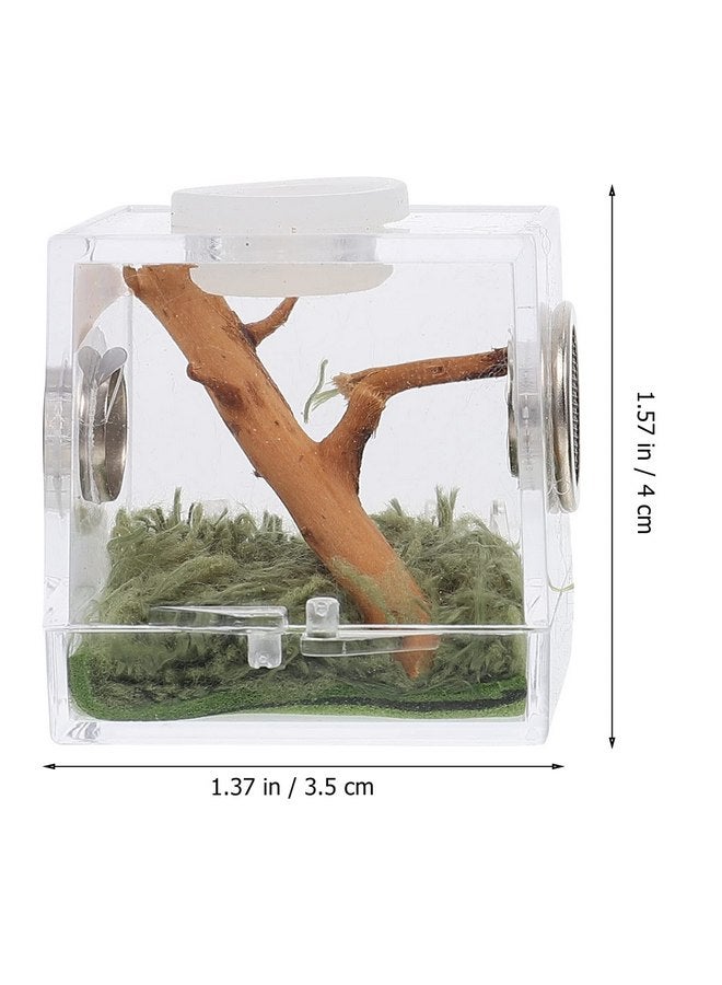 STOBOK 2Pcs Reptile Terrarium, Jumping Spider Enclosure Acrylic Critter Keeper Spider Breeding Cage Micro Habitat Terrariums Snail Container House for Reptiles, 3.5x4cm - Image 3