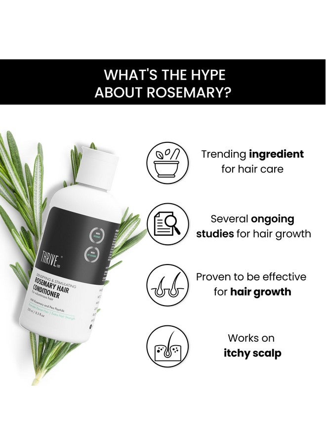 ThriveCo Rosemary Hair Conditioner For Voluminous Hair | Densifying & Stimulating Hair Growth | Promotes Hair Strength | With Pea Peptide & Caffeine | Paraben & Sulfate Free | For Men & Women | 250ml - Image 3