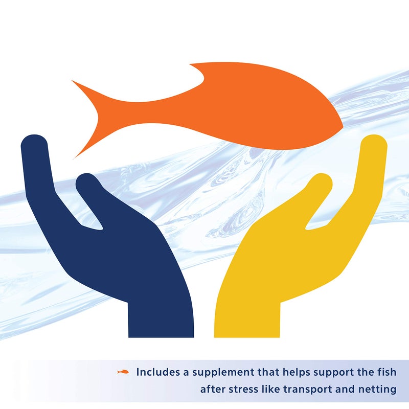 Aqueon Aquarium Fish Tank Betta Bowl Plus Water Conditioner, 4 Ounce - Image 5