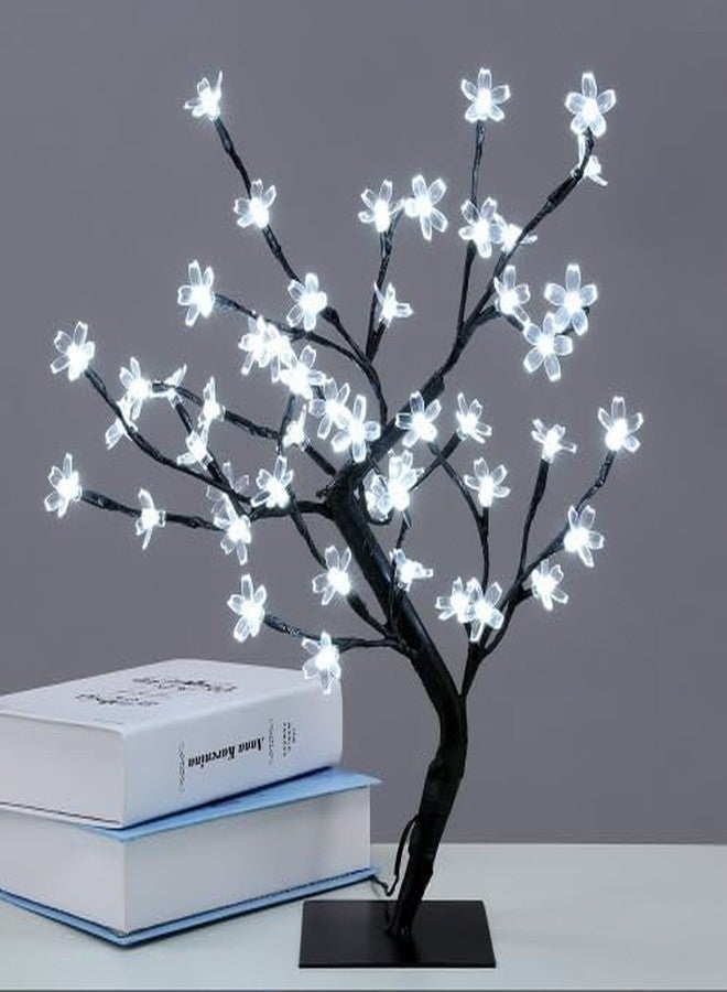 BUDWILL Bonsai Tree Lamp Night Light - Tabletop for Home Decor, Bedroom, Wedding, Christmas & Diwali Decor Fairy Lights | Tabel Lamp Lights | (24LED-White) - Image 2