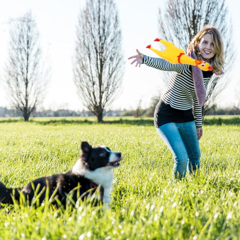 Sratte 16 Pack Screaming Chicken Toys Bulk Squeaky Rubber Chicken Large Squeaking Chicken Toy Squeeze Chicken Noisemaker Dog Squeak Durable Toys for Pet Chew Gifts Prank Novelty Toy(Yellow, 15 Inch) - Image 3