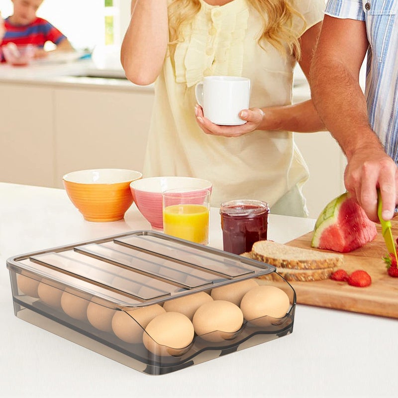 TERXA TERXA Single Layer Egg Storage Box Egg Holder For Refrigerator Egg Storage Container With Slide Design Kitchen Storage Organizer Pack of 1Multicolor  - Image 3