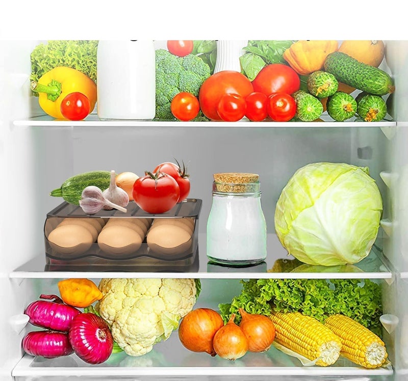 TERXA TERXA Single Layer Egg Storage Box Egg Holder For Refrigerator Egg Storage Container With Slide Design Kitchen Storage Organizer Pack of 1Multicolor  - Image 5