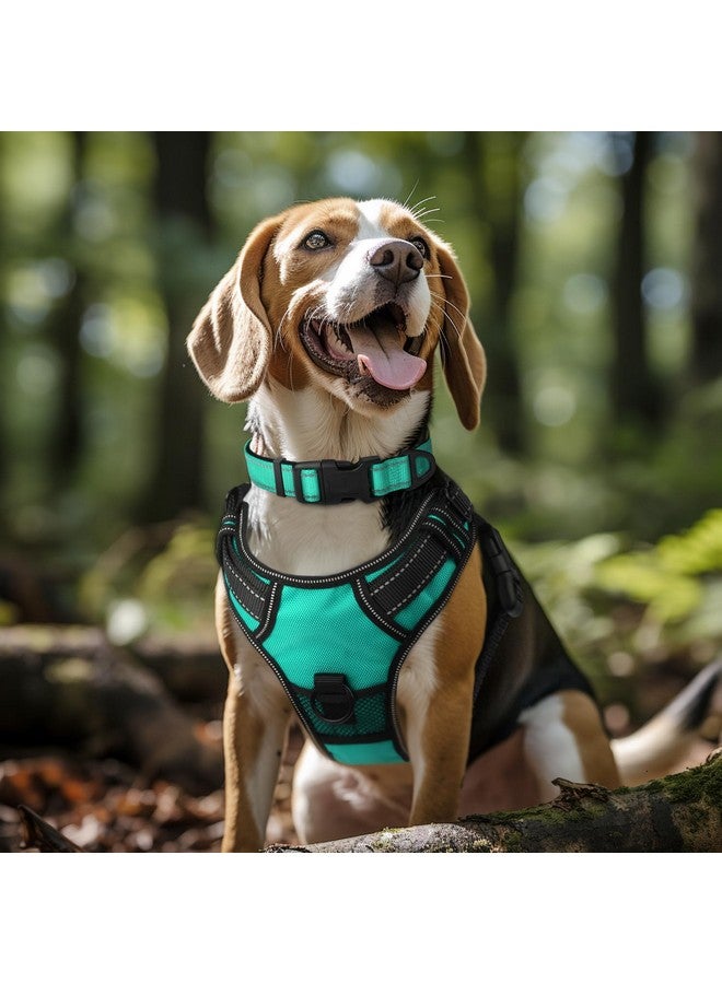 Joytale Joytale Reflective Dog Collar,Soft Neoprene Padded Breathable Nylon Pet Collar Adjustable for Large Dogs,Teal,L  - Image 1