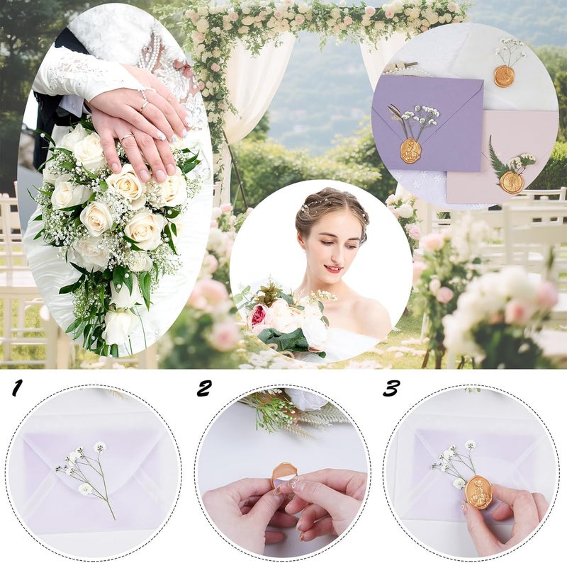 Xinxinran 50Pcs White Dried Pressed Flowers for Crafts, Dry Flower Kit for Wedding Invitation,Epoxy Resin Accessories,Bookmark,Nails, Jewelry Molds,Candle Making Supplies,Soap,Frame - Image 5