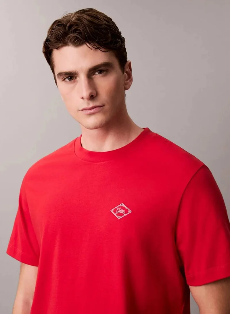 Calvin Klein Jeans Adrenaline Rush Matchbox Logo Graphic Relaxed T-Shirt for Men | Best Price UAE