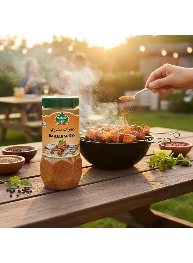Mehran BAR B.Q SPICES 125GM - Image 5