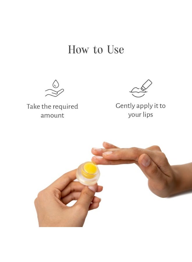 Shankara Gheesutrā Lemon Lip Butter, Ayurvedic Lip Balm for Soothing Dry, Inflamed, and Chapped Lips - Nourishment, Moisturizing, and Hydration up to 12 Hours -  3ml - Image 2