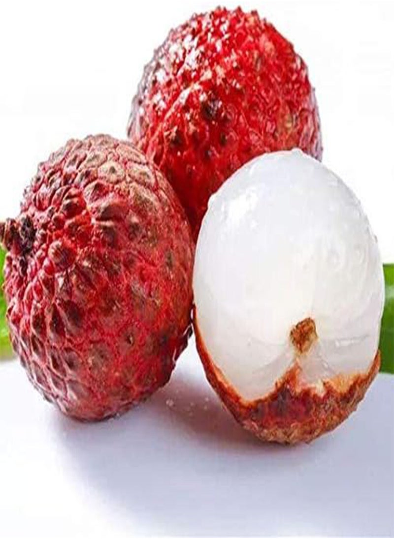 GGOOT - 30pcs Lichi Lychee Seeds Plump and Juicy Flesh Perennial Fruit Trees for The Garden Easy to Plant Naturally Grown Fresh Fruit Seeds - Image 1
