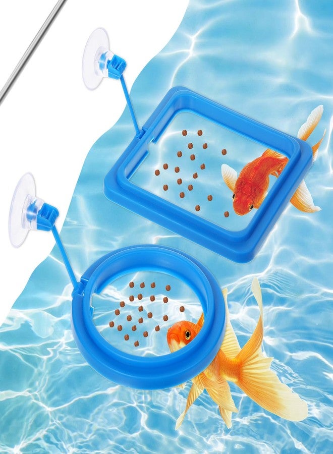 Thrymme Fish Feeder Ring, 4 Pack Fish Feeding Ring Round and Square Floating Food Feeder with Suction Cup for Betta, Goldfish, Guppy, Turtle - Image 1