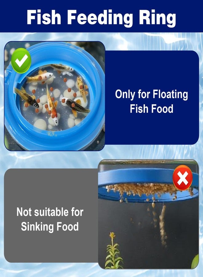 Thrymme Fish Feeder Ring, 4 Pack Fish Feeding Ring Round and Square Floating Food Feeder with Suction Cup for Betta, Goldfish, Guppy, Turtle - Image 4