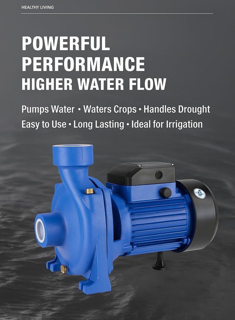 SUNRISE 3HP Water Pump for Irrigation and Drainage 2200W Centrifugal Electric Pump with 3 Inch Inlet, Brass Impeller, IP44 Rated Motor for Industrial Use - Image 5