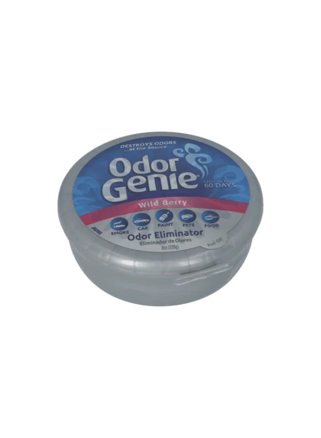 أودورا معطر جو ومزيل للروائح برائحة التوت البري (226 جم) - Image 1