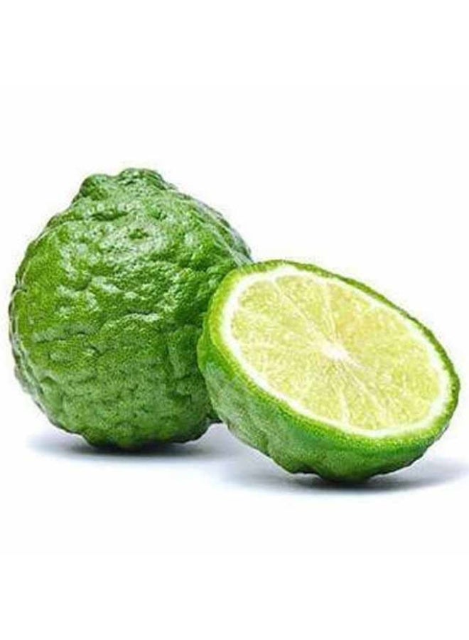 Lime Kaffir, 250g , Thailand