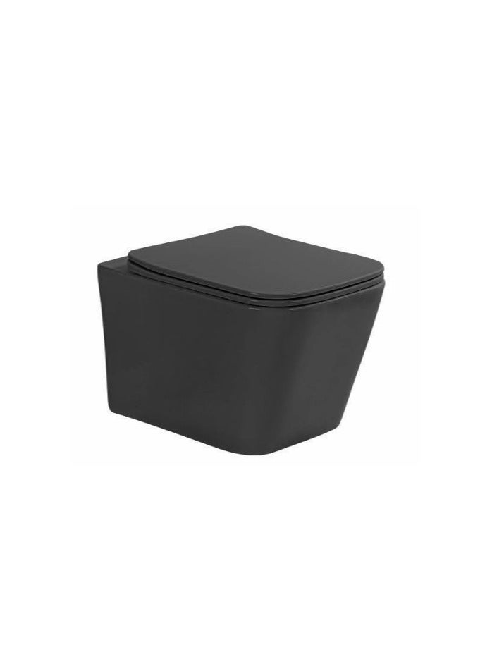 SONET 3061-Matt Black Wall-hung Toilet P-trap - Image 1