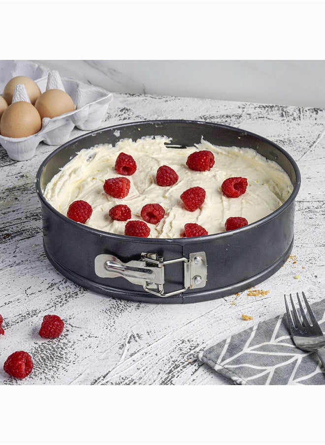 Betty Crocker Non-Stick Baking Springform & Removable Bottom 24Cm Grey - pzsku/ZA11E59E4C9E28BD847E5Z/45/_/1691489846/ce972194-af47-4f89-9dc8-88d389aaab7d