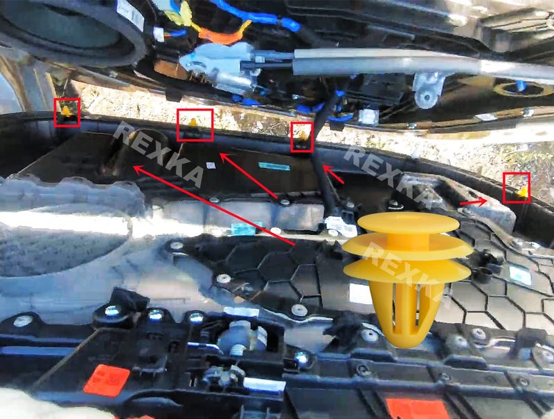 Rexka ركسكا 20 قطعة مشبك تثبيت لوحة trim بفتحة 8 مم متوافق مع هيونداي كيا 82315-38000 - Image 5