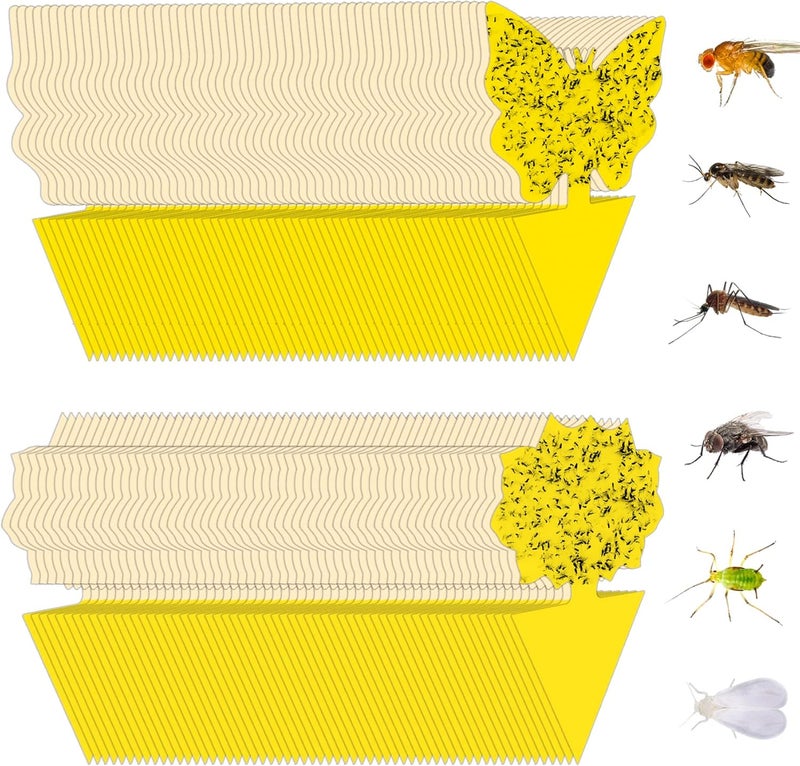 Stingmon 120 Pack Fruit Fly Trap for Indoors, Fungus Gnat Killer Indoor Sticky Traps for Mosquito and Flying Insects, Bug Pest Insect Catcher Killer for Houseplant - Image 1