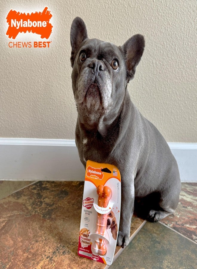 Nylabone Limited Edition 70th Birthday Textured Bone Power Chew Toy for Dogs, Durable & Tough Dog Toys for Aggressive Chewers, Roasted Chicken Flavor, Medium Dogs - Up to 35 lbs (1 Count) - Image 2