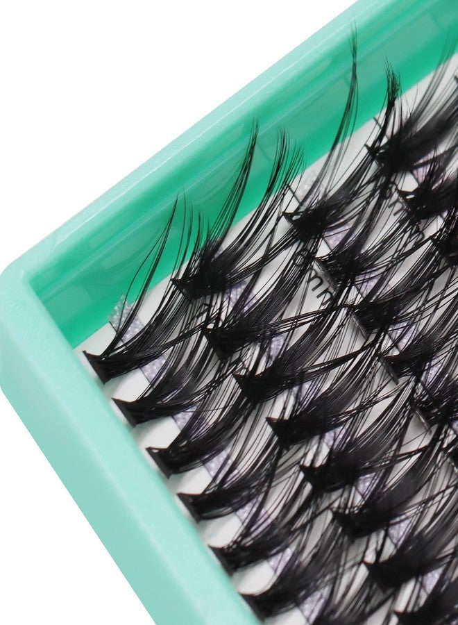 Bodermincer XXXL Tray 560pcs 40D Cluster D Curl 10-12-14-16mm Mixed Cluster DIY at Home Lashes Eyelashes Extensions (40D-D Curl-10-12-14-16mm Mixed) - Image 5
