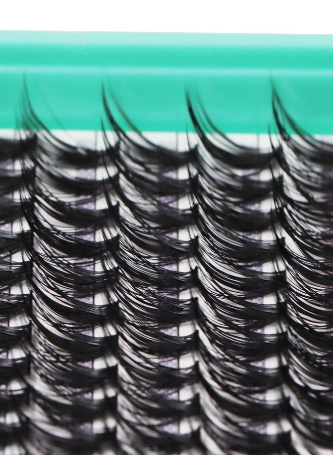 Bodermincer XXXL Tray 560pcs 40D Cluster D Curl 10-12-14-16mm Mixed Cluster DIY at Home Lashes Eyelashes Extensions (40D-D Curl-10-12-14-16mm Mixed) - Image 3