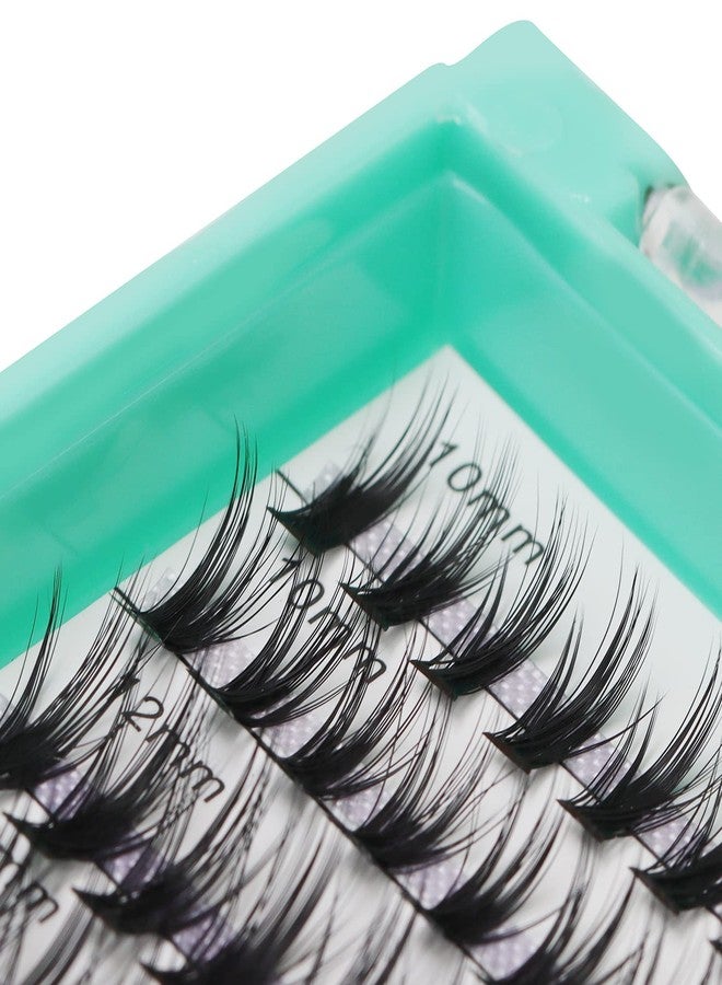 Bodermincer XXXL Tray 560pcs 40D Cluster D Curl 10-12-14-16mm Mixed Cluster DIY at Home Lashes Eyelashes Extensions (40D-D Curl-10-12-14-16mm Mixed) - Image 4