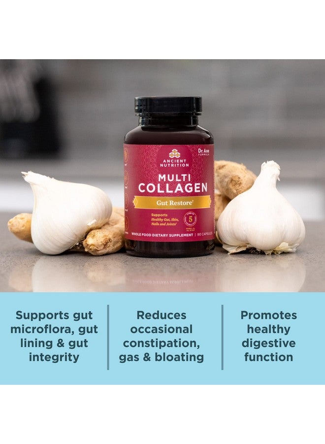 Ancient Nutrition حبوب كولاجين من أنشينت نيوترشن مع بروبيوتيك لصحة الأمعاء، كبسولات متعددة الكولاجين لاستعادة الأمعاء 90 حبة، تدعم الأمعاء والمفاصل والشعر والأظافر، خالية من الغلوتين، مناسبة للباليو والكيتو - Image 4