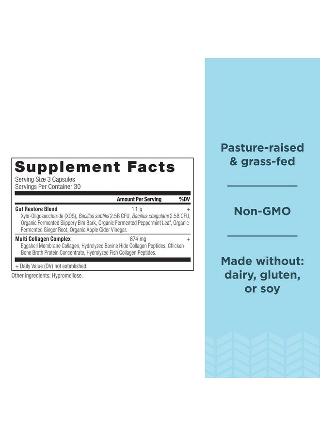 Ancient Nutrition حبوب كولاجين من أنشينت نيوترشن مع بروبيوتيك لصحة الأمعاء، كبسولات متعددة الكولاجين لاستعادة الأمعاء 90 حبة، تدعم الأمعاء والمفاصل والشعر والأظافر، خالية من الغلوتين، مناسبة للباليو والكيتو - Image 2