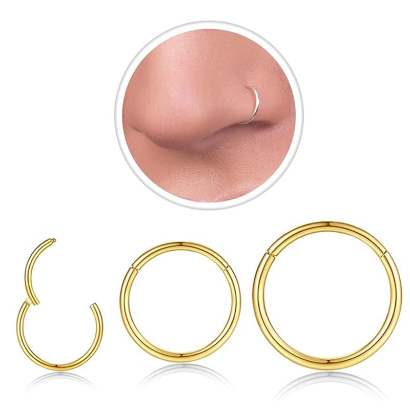 GingYing 3Pcs 18G Gold Nose Rings Hoops for Women Men, Hypoallergenic 316L Surgical Steel Hinged Clicker Segment Septum Rings Hoop Helix Cartilage Daith Tragus 6/8/10mm Earrings Real Body Piercing Jewelry - Image 1