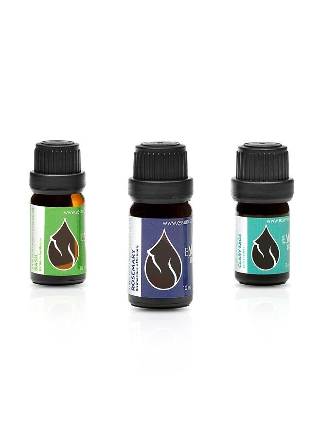 Essences Bulgaria Set "Hair Repair" Organic Essential Oils | Basil (10ml) + Rosemary (10ml) + Clary Sage (5ml) | 100% Pure and Natural | Undiluted | Therapeutic Grade | Family-Owned Farm | Non-GMO | 3pcs  - Image 1