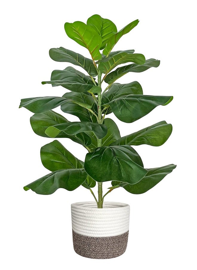 Artificial Fiddle Leaf Fig Tree/Faux Ficus Lyrata for Home Office Decoration, 78CM Tall, with Cotton Rope Basket - https://f.nooncdn.com/p/pzsku/ZA125B79DCE22C44C6E09Z/45/1750412789/0703c7d6-90e3-47c5-948c-4cc204637b8d.jpg?width=original