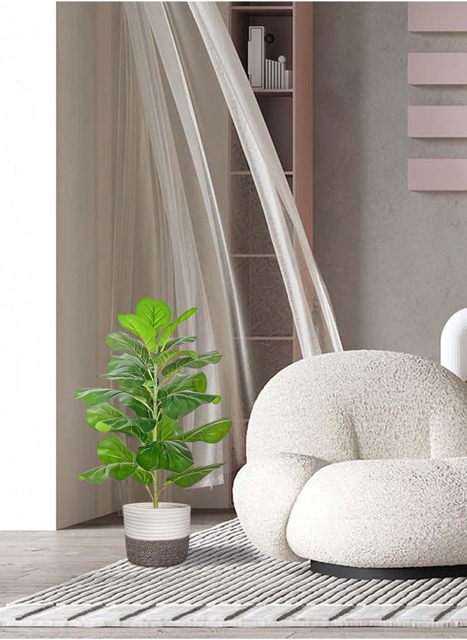 Artificial Fiddle Leaf Fig Tree/Faux Ficus Lyrata for Home Office Decoration, 78CM Tall, with Cotton Rope Basket - https://f.nooncdn.com/p/pzsku/ZA125B79DCE22C44C6E09Z/45/_/1712045463/d88be0ea-3487-4810-9613-dacbdff75204.jpg?width=original