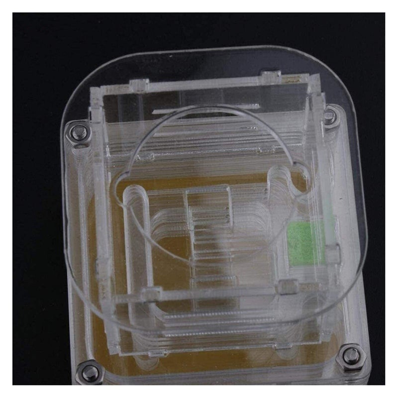 Ant Farm Castle Habitat with Transparent View Easy to Install Ant Nest for Kids - Image 4