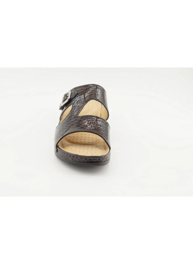 Zayna Brown 221-3163 Zayna Ladies Low Heel Slides 2608-10 Brown for Women | Best Price UAE