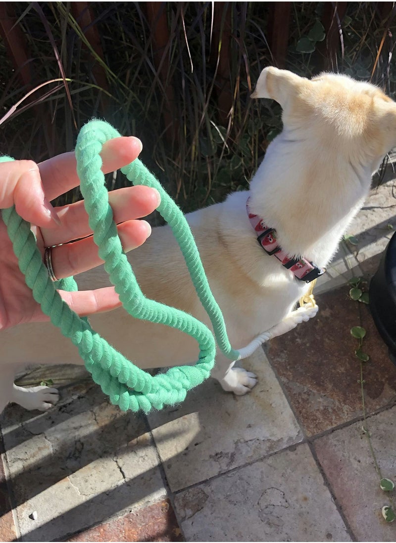 Green Rope Leash, Handmade Organic Cotton Ombre Dog Leash with a Snap Hook, Tie Dyed - pzsku/ZA128845E51031D033328Z/45/_/1669974200/8015ad03-d4fc-4a5f-83f1-eaebbfd729a7