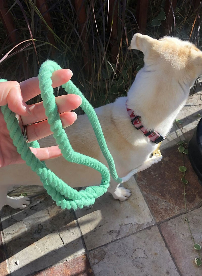 Y&D Green Rope Leash, Handmade Organic Cotton Ombre Dog Leash with a Snap Hook, Tie Dyed  - Image 5