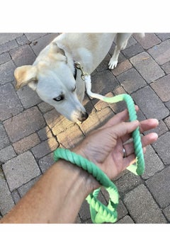 Y&D Green Rope Leash, Handmade Organic Cotton Ombre Dog Leash with a Snap Hook, Tie Dyed  - Image 2