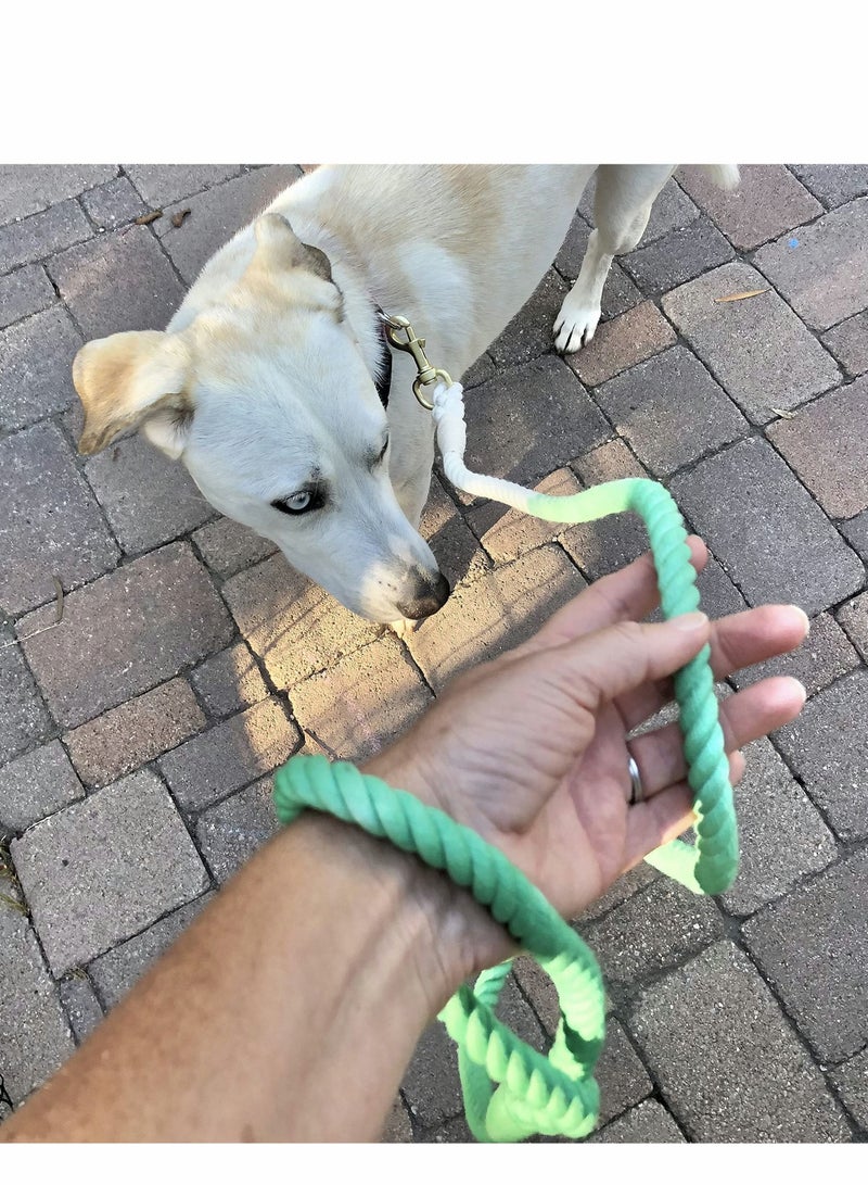 Y&D Green Rope Leash, Handmade Organic Cotton Ombre Dog Leash with a Snap Hook, Tie Dyed  - Image 2