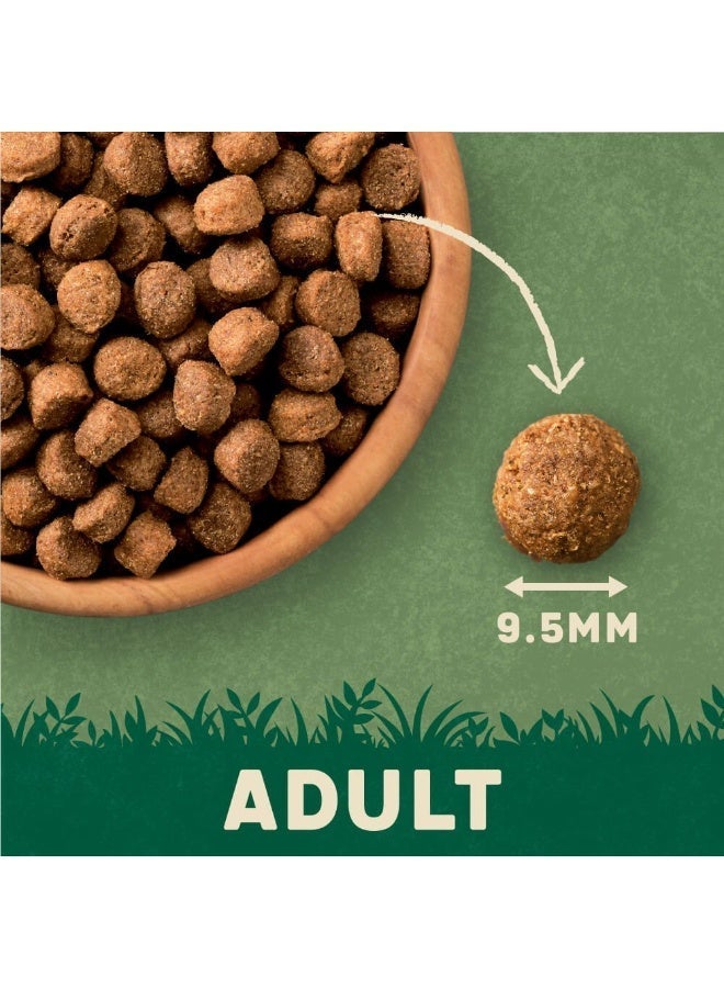 Harringtons Complete Turkey with Veg Adult Dry Dog Food 4 KG - Image 3