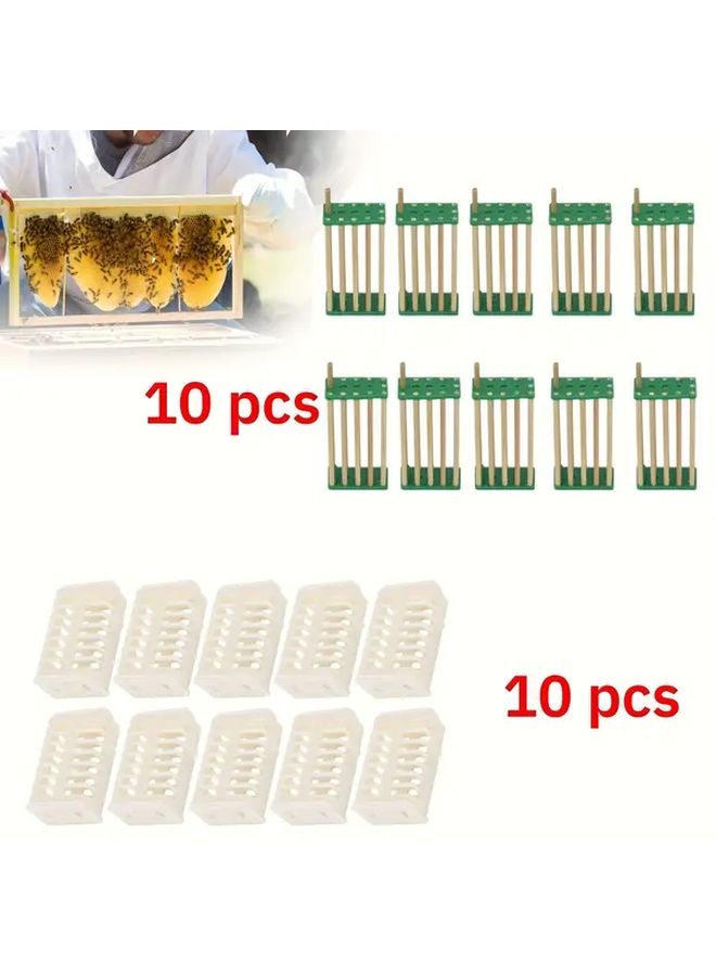 Queen Bee Cage 20 Pcs Plastic Beekeeping Tools For Transport - Image 1