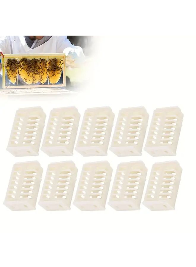 Queen Bee Cage 20 Pcs Plastic Beekeeping Tools For Transport - Image 5
