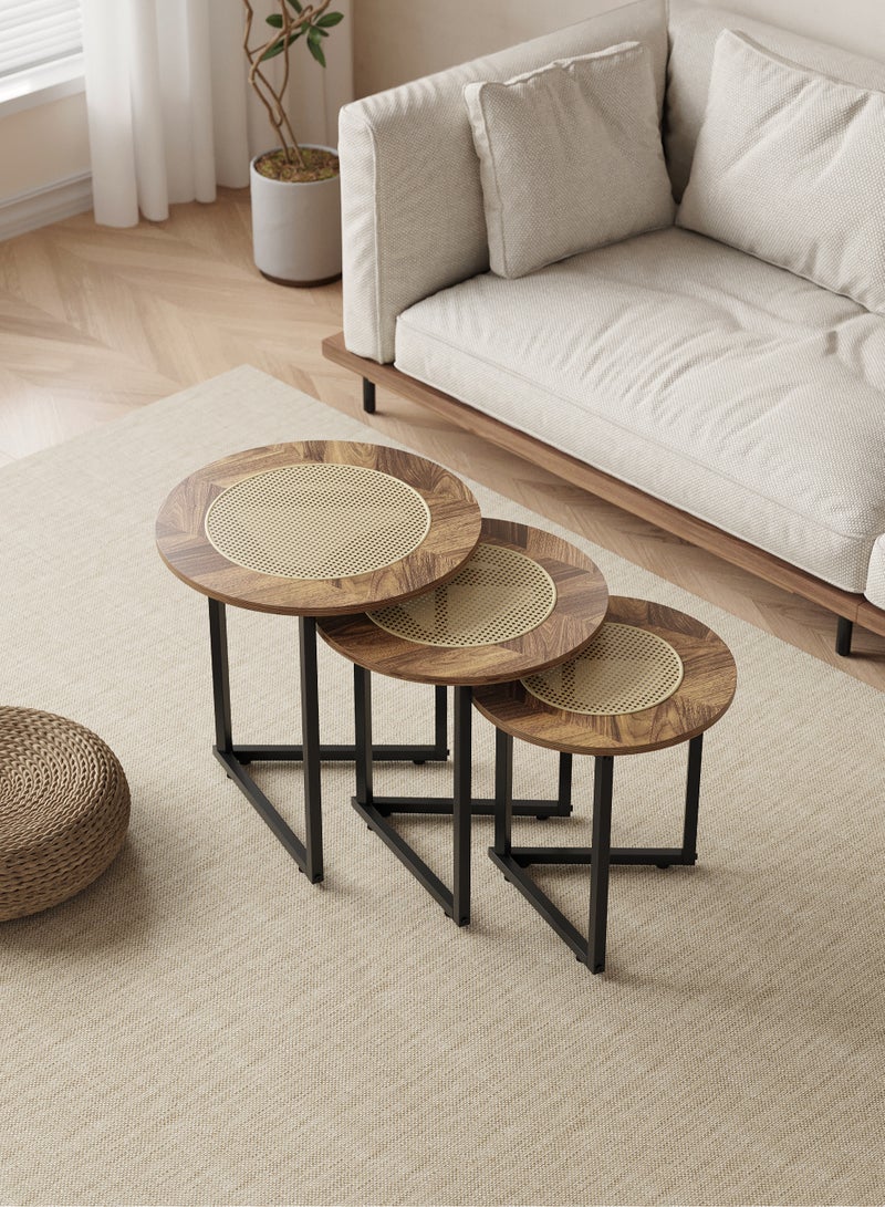 شي ون طقم طاولات قهوة دائرية من SHEE ONE بتصميم خشب طبيعي فاخر وسطح قشّ أنيق | 3 قطع عملية للمجالس والصالات | طاولة ديكور وضيافة قابلة للتداخل لتوفير المساحة | أرجل معدنية متينة | الأبعاد:  50×50×50 سم، 45×45×45 سم، 40×40×40 سم - Image 3