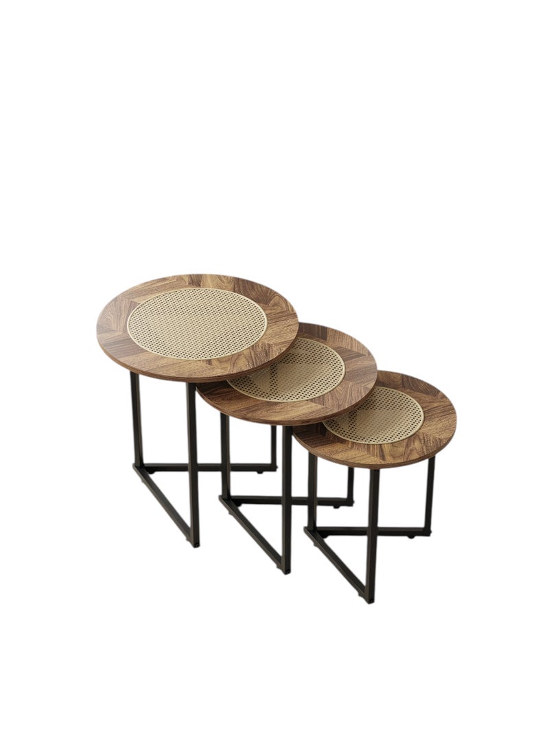 شي ون طقم طاولات قهوة دائرية من SHEE ONE بتصميم خشب طبيعي فاخر وسطح قشّ أنيق | 3 قطع عملية للمجالس والصالات | طاولة ديكور وضيافة قابلة للتداخل لتوفير المساحة | أرجل معدنية متينة | الأبعاد:  50×50×50 سم، 45×45×45 سم، 40×40×40 سم - Image 4